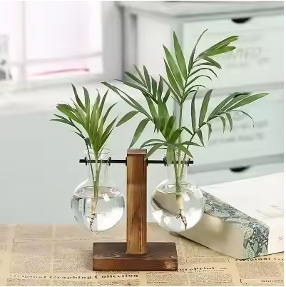 Hydro Terrarium Vase – Glass Desktop Planter