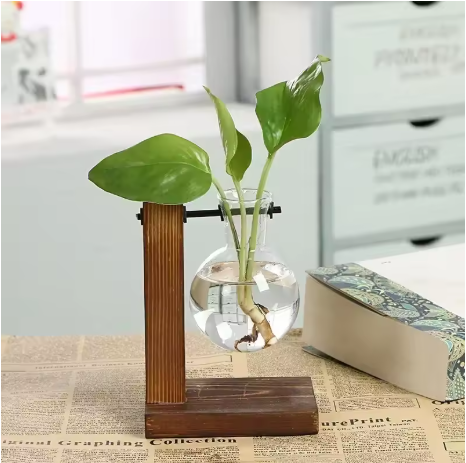 Hydro Terrarium Vase – Glass Desktop Planter
